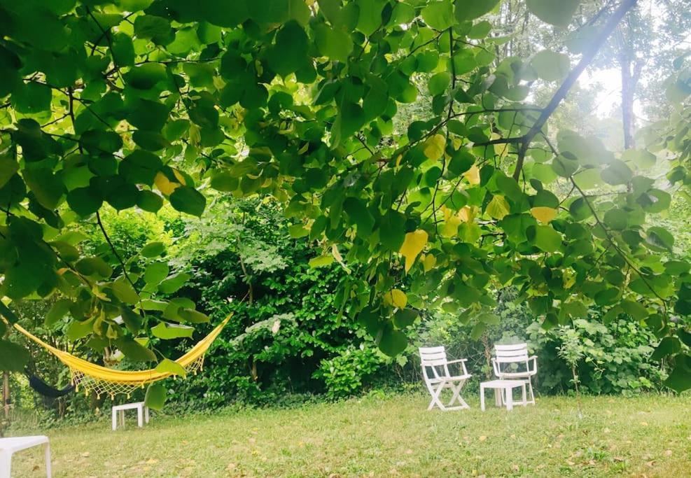Gite Et Jardin En Bord De Riviere Saumane Kültér fotó