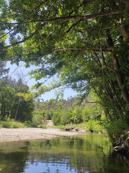 Gite Et Jardin En Bord De Riviere Saumane Kültér fotó