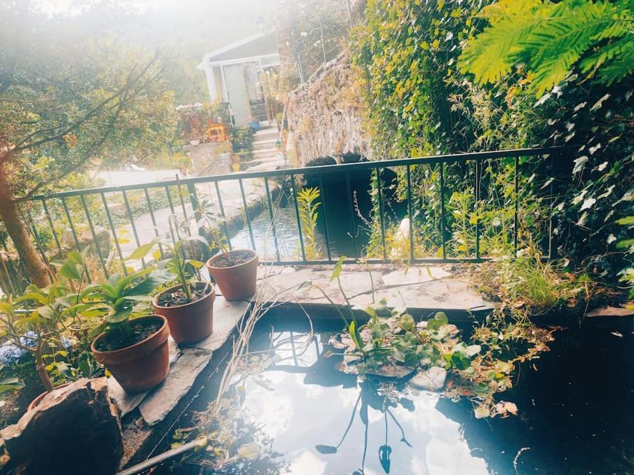 Gite Et Jardin En Bord De Riviere Saumane Kültér fotó
