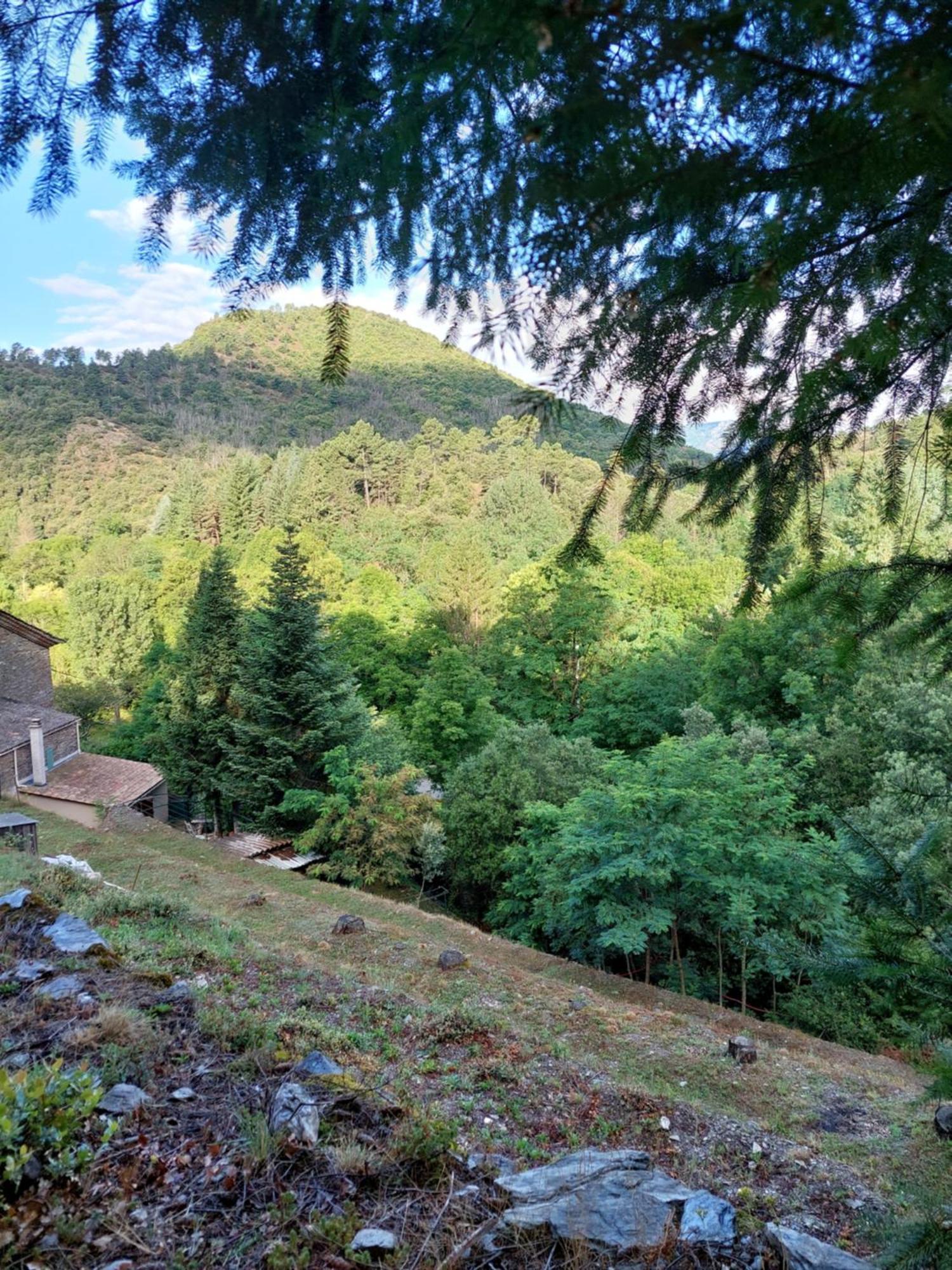 Gite Et Jardin En Bord De Riviere Saumane Kültér fotó
